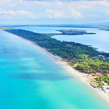 Chambres D Hotes A 20 Pas De La Plage Lucciana  Εξωτερικό φωτογραφία